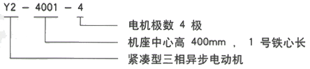 YR系列(H355-1000)高压YRKK8001-4三相异步电机西安西玛电机型号说明